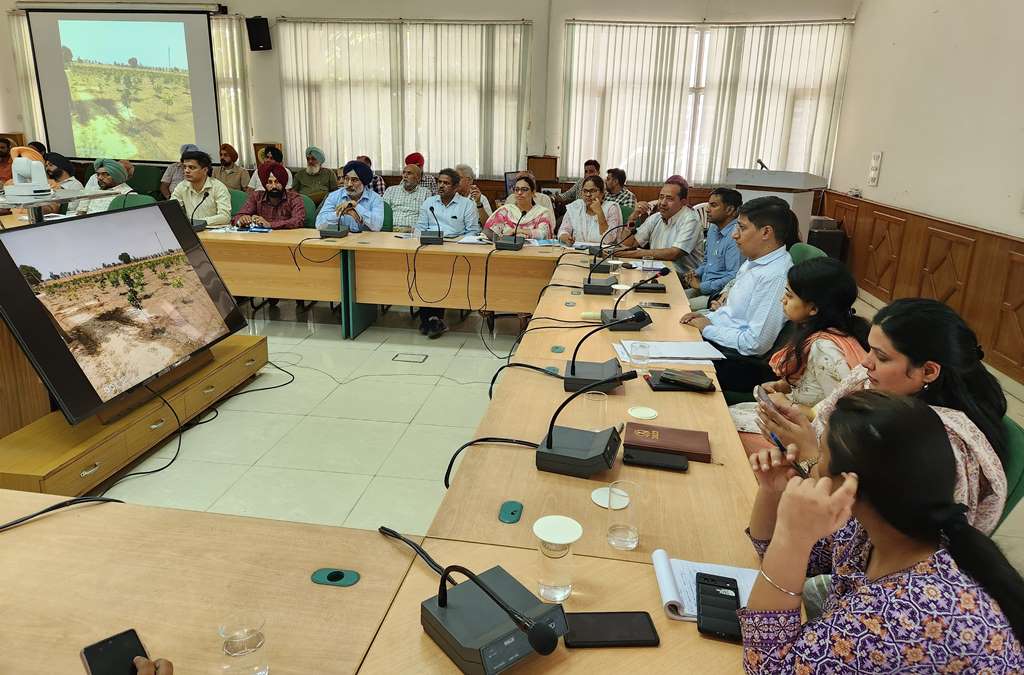 Aim to plant 11 lakh saplings to make Patiala district green